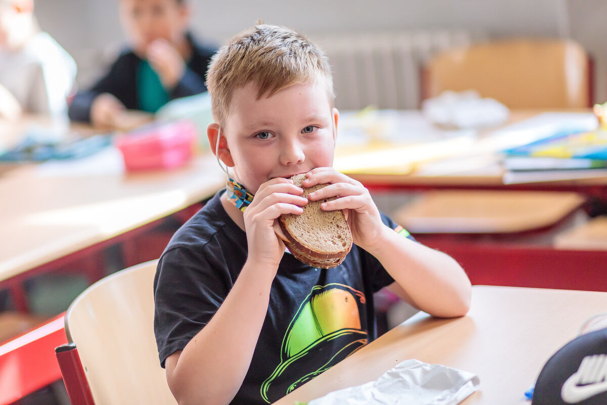 GESUNDES SCHULFR&Uuml;HST&Uuml;CK