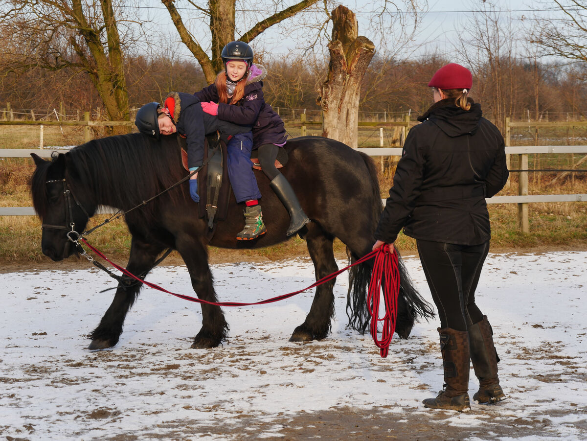 REITTHERAPIE